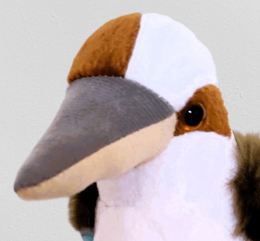 Karen